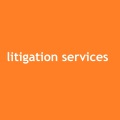 Litigation Services